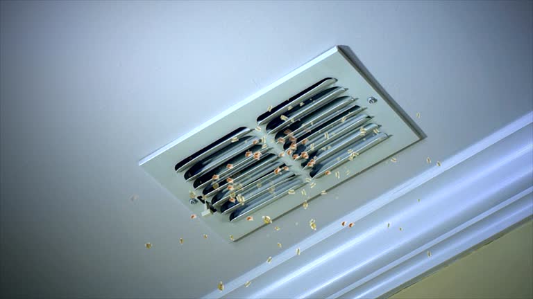 Best Best Air Duct Cleaning Company  in Newport East, RI